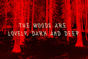 WithAnimals Font, a Handwritten Font by Towards The North (Thumbnail 7 of 8)