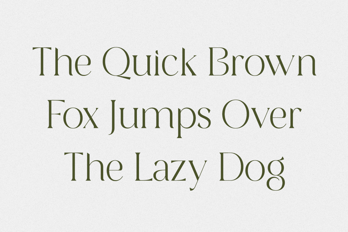 Versine Swoosh, a Serif Font by RockboyStd (Photo 7 of 12)