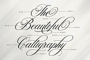 Wonderful Script, a Script Font by Has_rizal (Thumbnail 3 of 10)