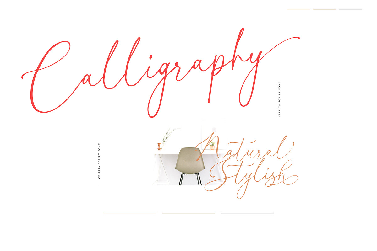 Cellita Script, a Script Font by Realtype (Photo 2 of 10)