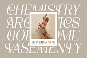 Valorine - Minimal Modern Stylish, a Serif Font by Shakira Studio (Thumbnail 6 of 10)