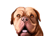 Mastiffs and Pugs 34 PSD Dogs Set, an Animal Illustration by Dneprstock (Thumbnail 10 of 15)