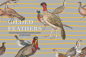 Gilded Feathers Vintage Prints 2026