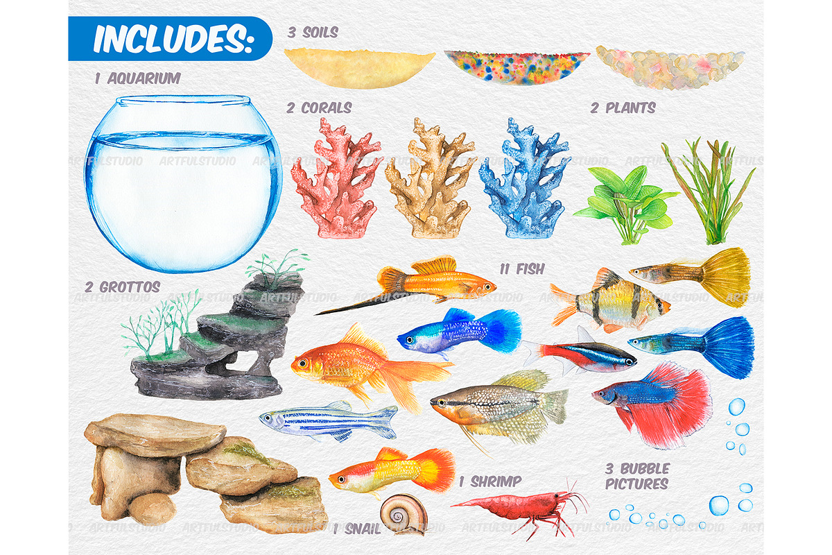 Watercolor tropical fish clipart, an Animal Illustration by ArtfulStudio (Photo 2 of 8)