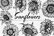 Sunflowers Outline Drawings, an Object Graphic by Dervik Art Store (Thumbnail 1 of 7)