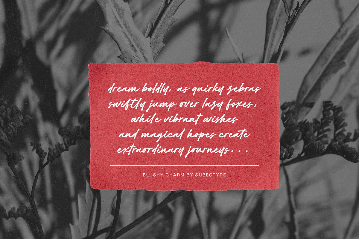 Blushy Charm - Bold Script Font, a Font by Subectype Studio (Photo 9 of 14)