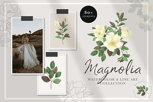 MAGNOLIA - Watercolor & Line Art