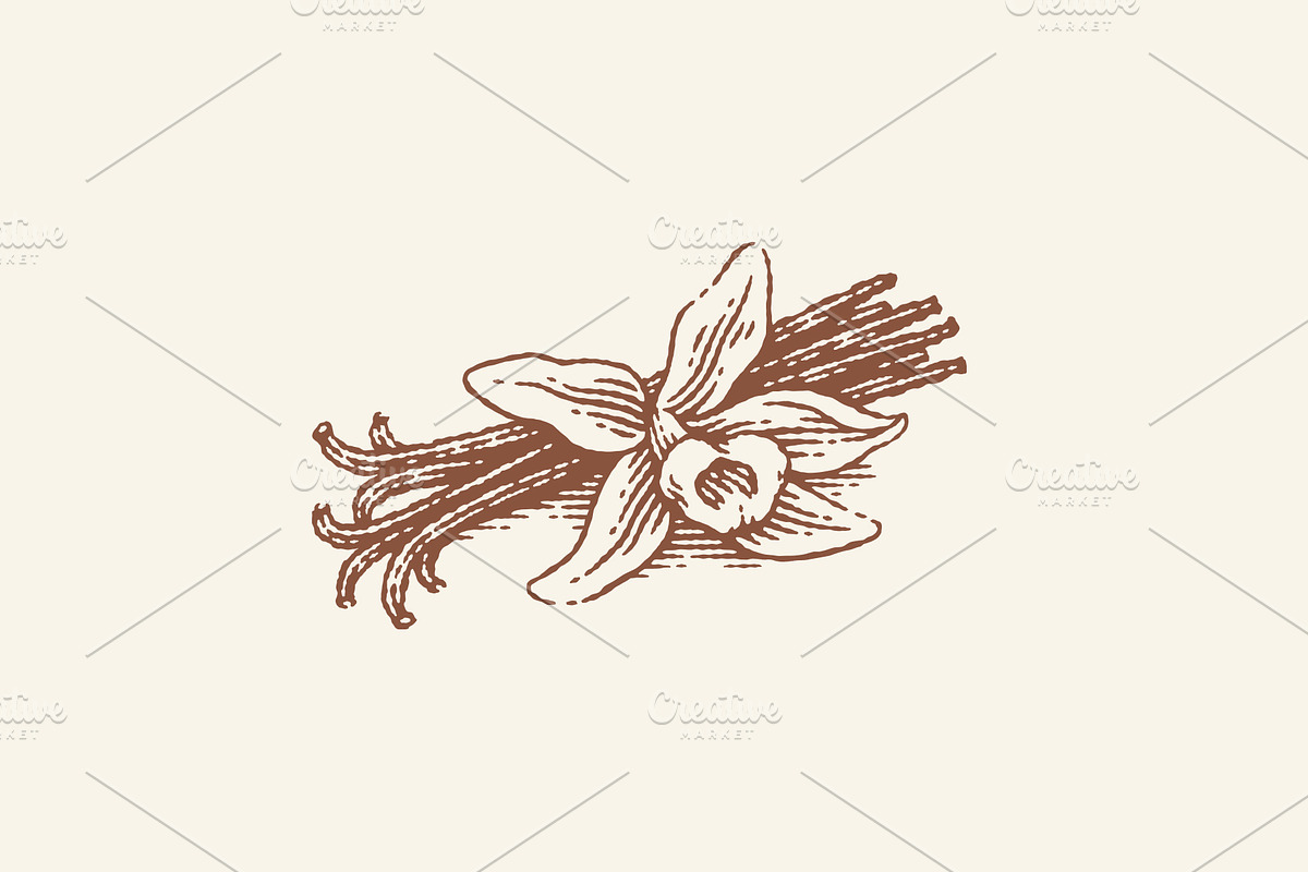 Cacao, vanilla, cinnamon, a Graphic by Irina Trusova (Photo 4 of 4)
