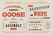 Handbill: letterpress type family, a Slab Serif Font by Polymath (Thumbnail 7 of 14)
