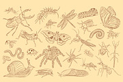 Insects Illustrations, an Object Graphic by DesignerCandies (Thumbnail 3 of 4)