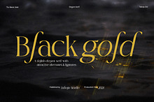 TBJ Black Gold 2-Styles Serif