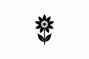 Elegant Floral Bundle, an Illustration by hafijul (Thumbnail 2 of 21)