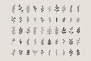 Botanical Hand Drawn Illustrations, a Decorative Illustration by Irene Florentina Design (Thumbnail 2 of 5)