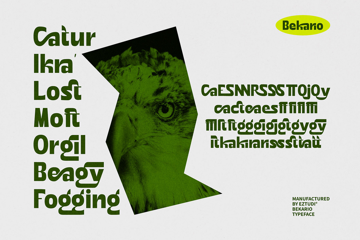Ez-Bekario Sans Modern Display, a Sans Serif Font by Eztudio (Photo 11 of 15)