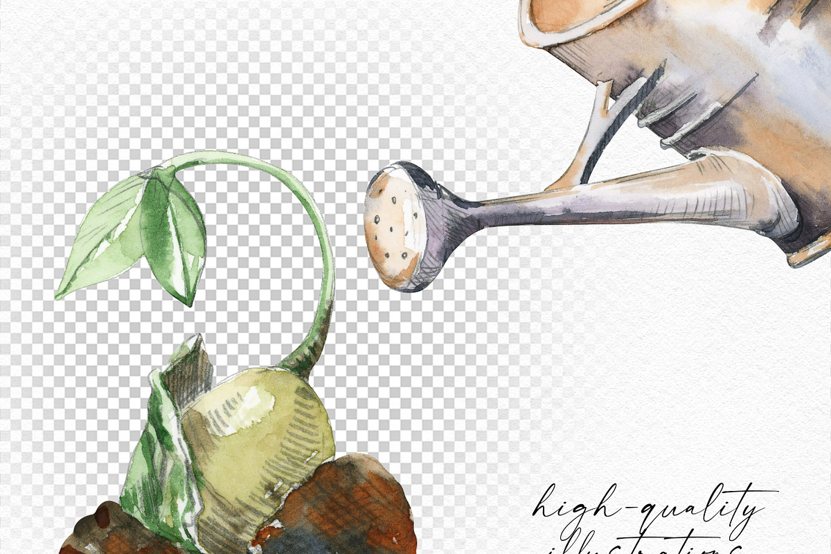 Watercolor Gardening Time, a Food Illustration by Olga Koelsch (Photo 11 of 19)