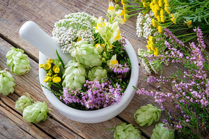 Mortar of medicinal herbs, top view., a Health & Medical Photo by chamillewhite