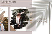 Wild Shadow Overlays for Procreate, a Brush Add-On by OkayAnnie Designs (Thumbnail 2 of 9)