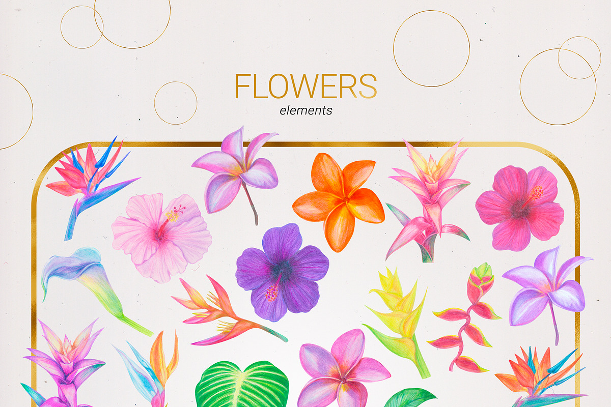 Tropical decorative clipart set, an Object Graphic by LiiaLonn Studio (Photo 2 of 7)