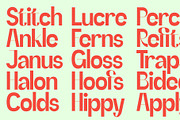 SLTF Refugio - Modern Grotesk Font, a Sans Serif Font by SilverStag Type Foundry (Thumbnail 22 of 30)