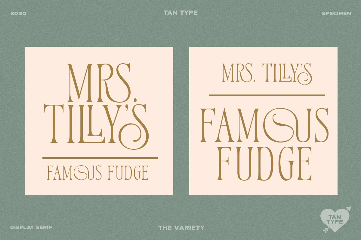 TAN - Variety, a Serif Font by TanType (Photo 7 of 26)