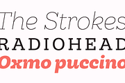 Hernández Niu, a Slab Serif Font by Latinotype (Thumbnail 16 of 17)