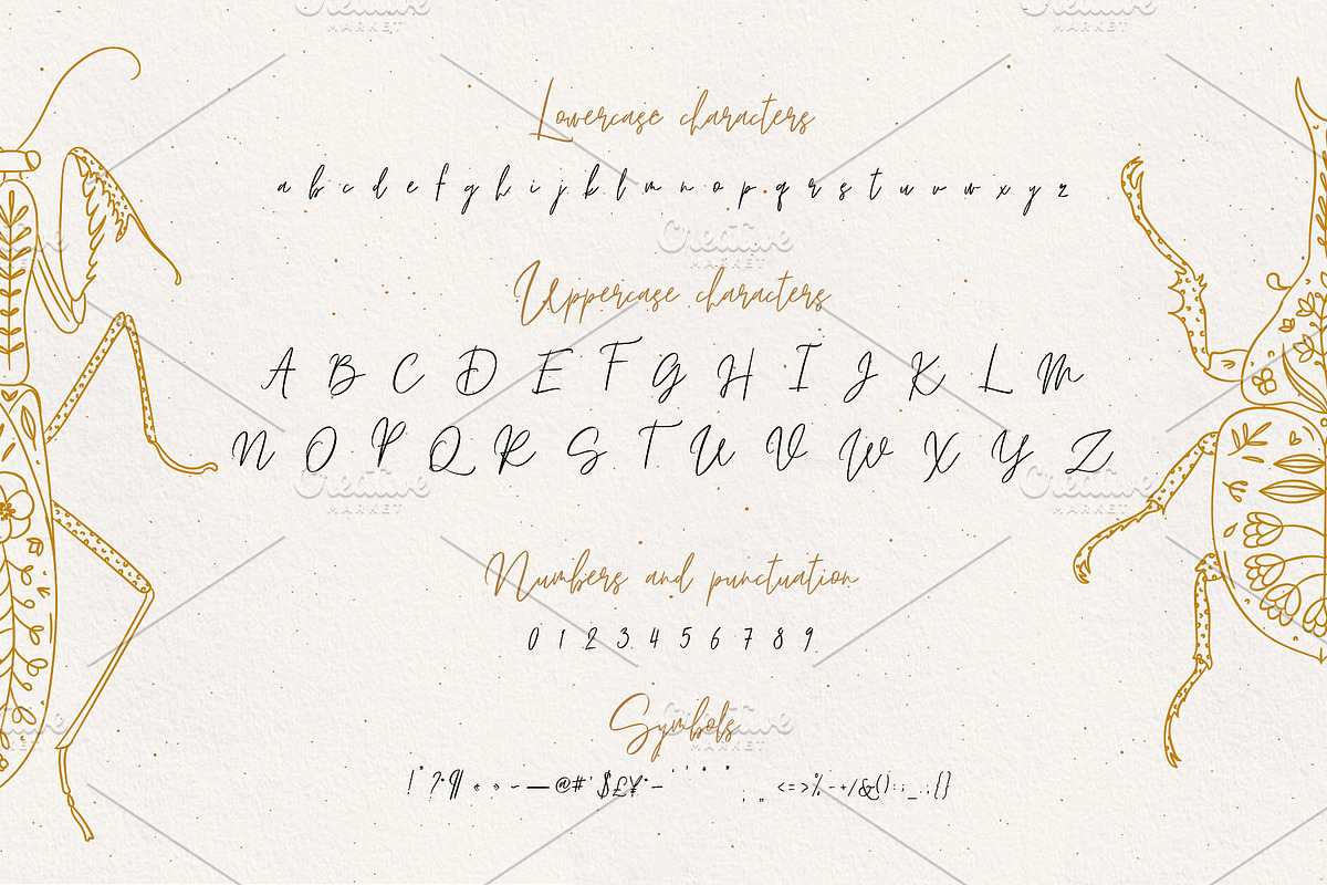 Lyuli Font Script, a Script Font by Anna (Photo 2 of 9)