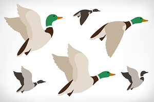 Set of flying ducks. Duck hunting.