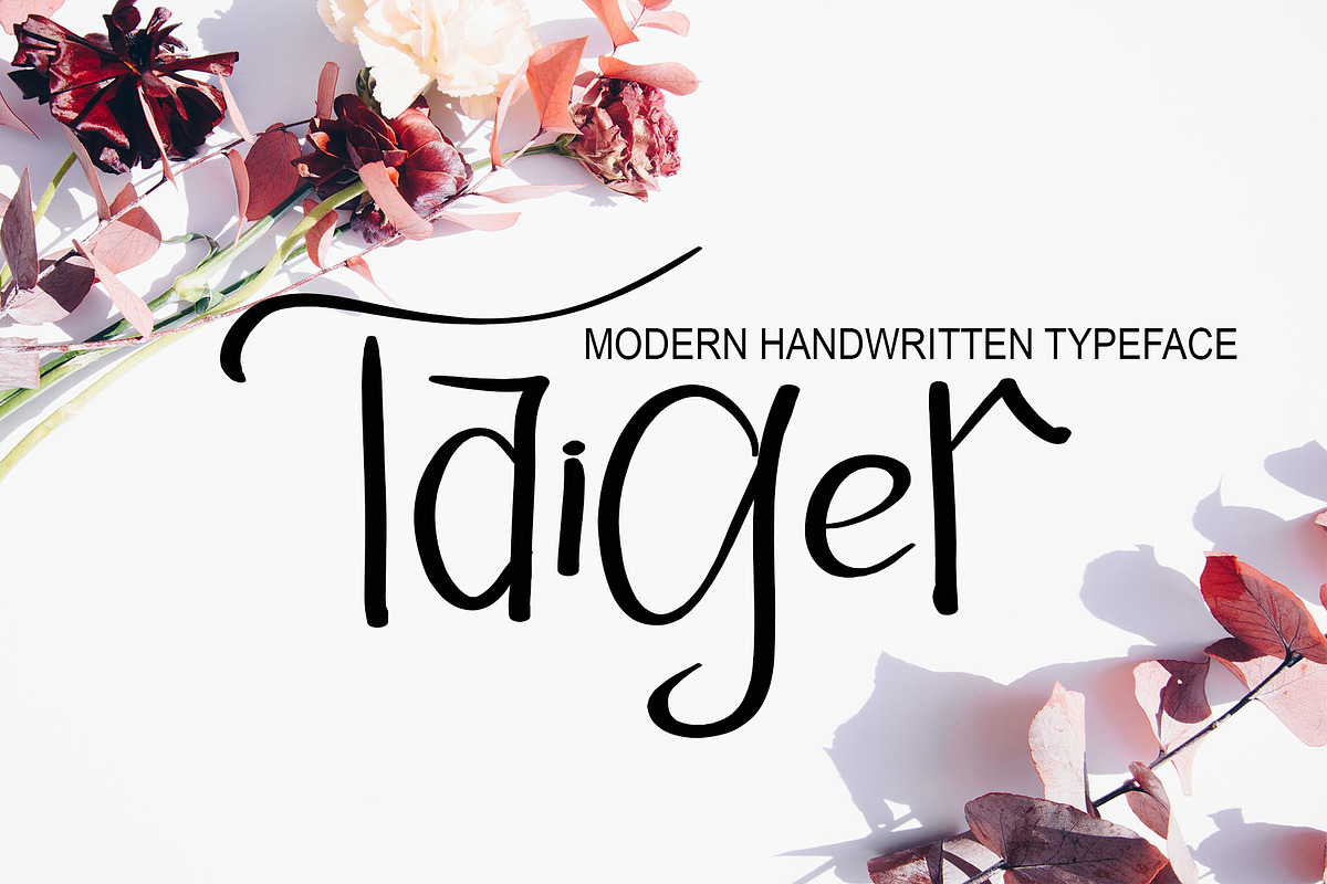Taiger, a Script Font by Canden Meutuah (Photo 1 of 7)