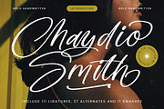 Chaydio Smith Bold Handwritten Font, a Script Font by stylishtype.co (Thumbnail 1 of 20)