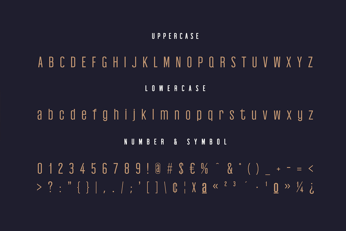 Edingu Sans Serif Font Family, a Sans Serif Font by Creativetacos (Photo 2 of 14)