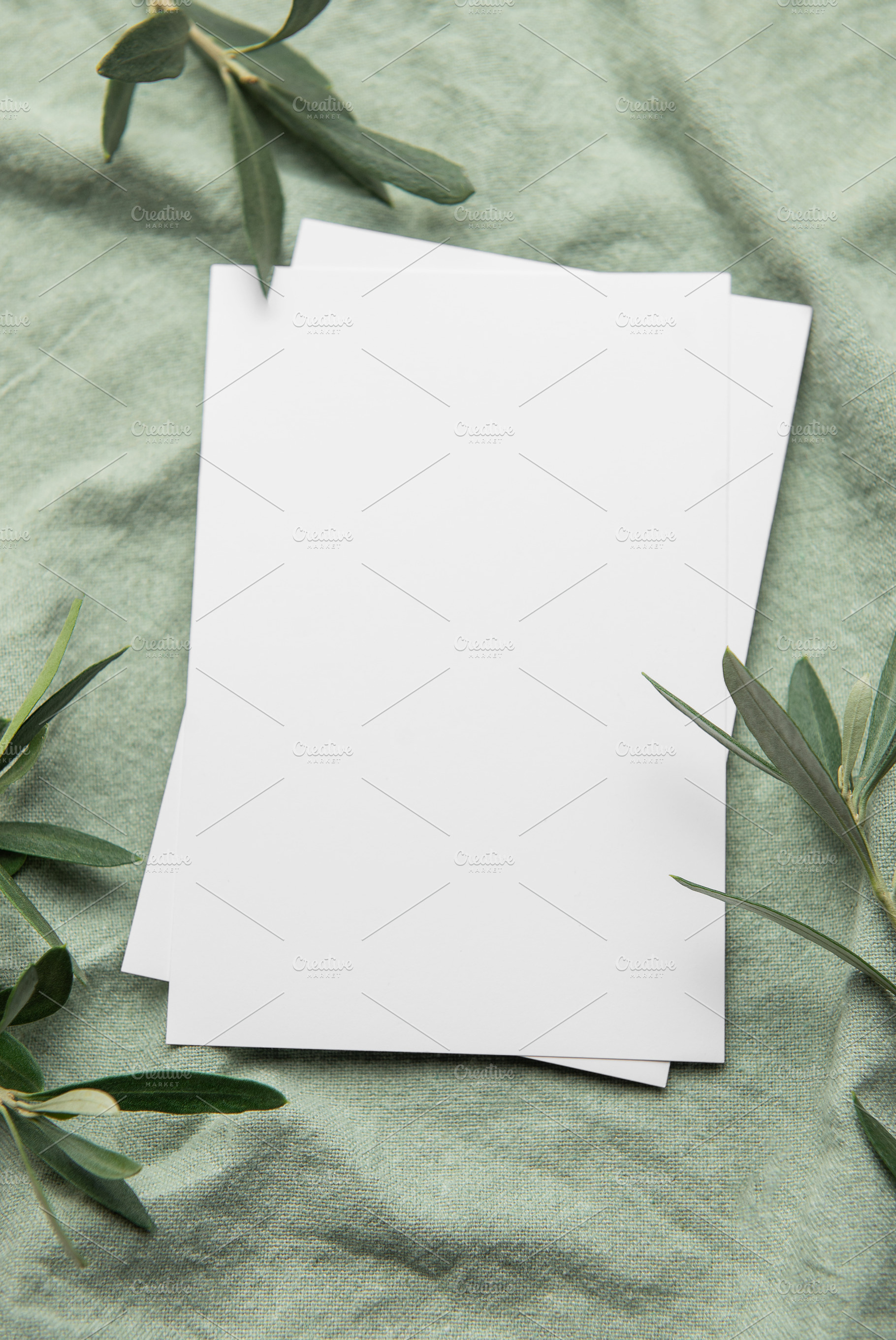 Blank cards resting on green fabric with olive branches for eleg, a Background Photo by Olena Rudo
