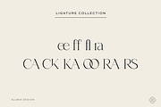 Marrakech - Modern & Exotic serif, a Serif Font by Alubia design (Thumbnail 7 of 10)