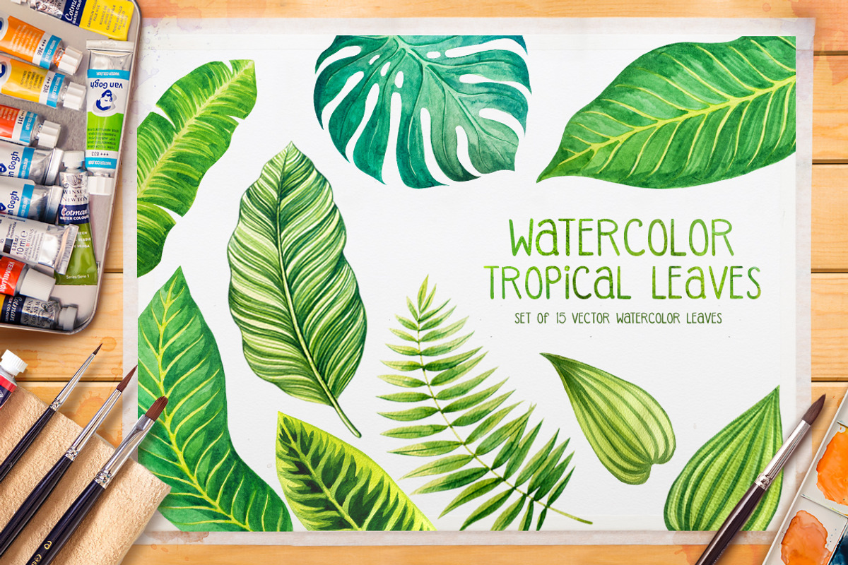 Tropical leaves. Watercolor vector., an Illustration by AlexGreenArt (Photo 1 of 5)