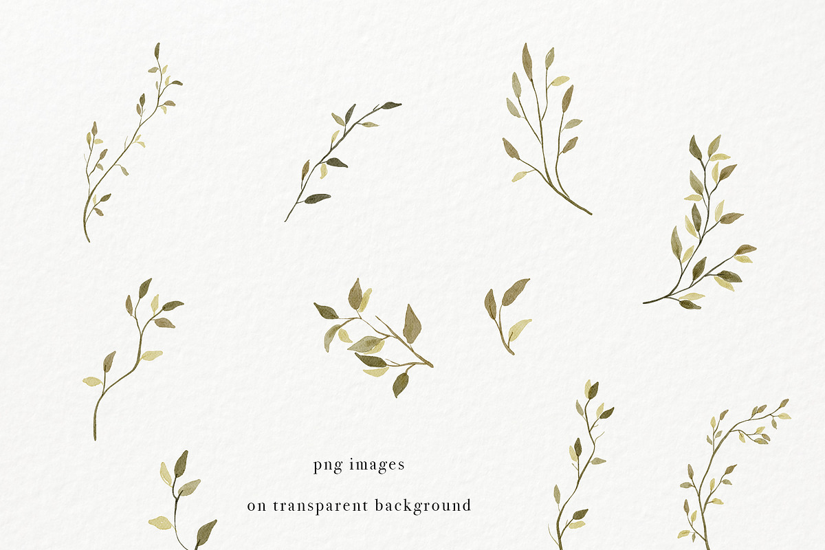 Ardent Elegance - Botanical Set, an Illustration by Backyard Rose (Photo 11 of 13)