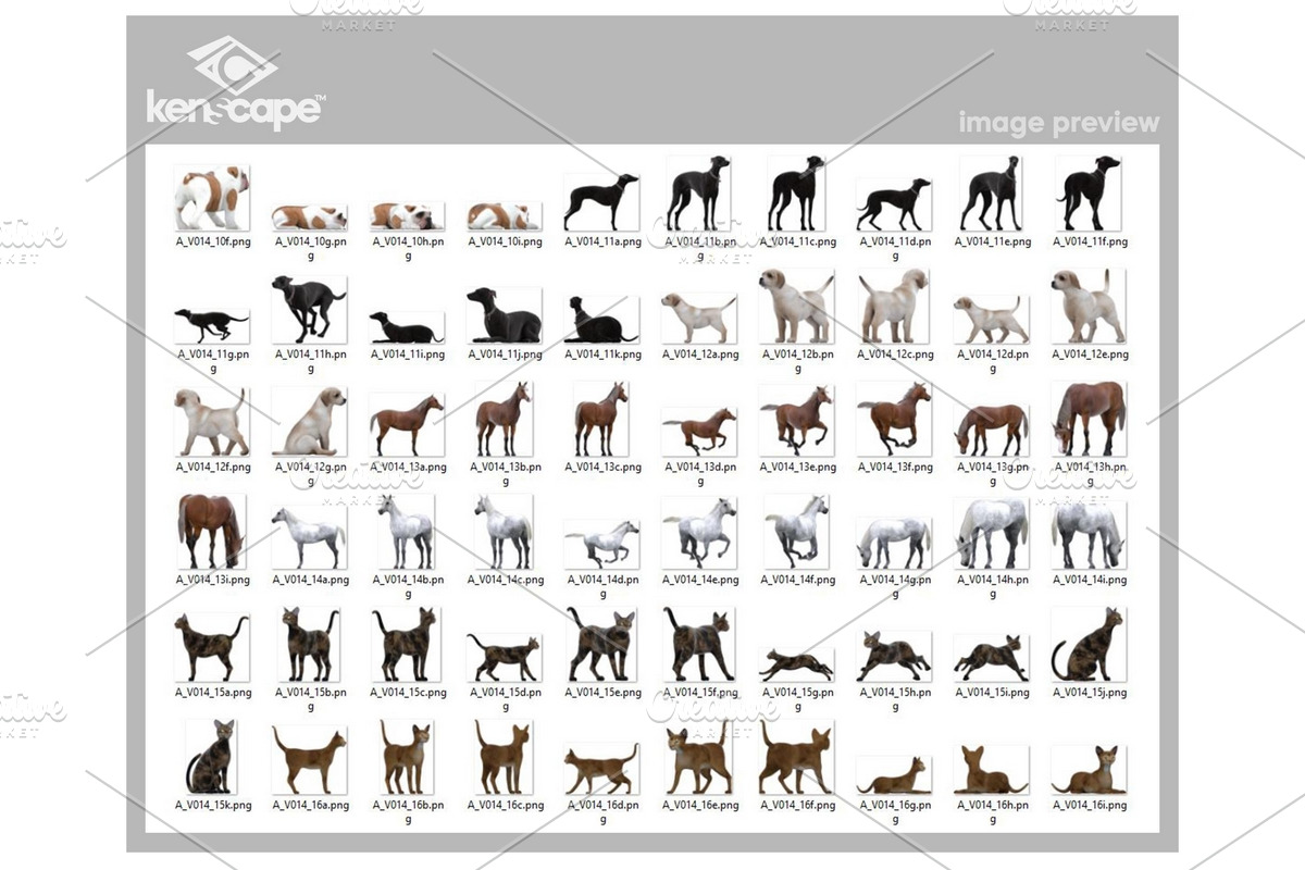 120 Pet/Farm Animals Photo Overlays, an Animal Photo by KenScape (Photo 4 of 4)