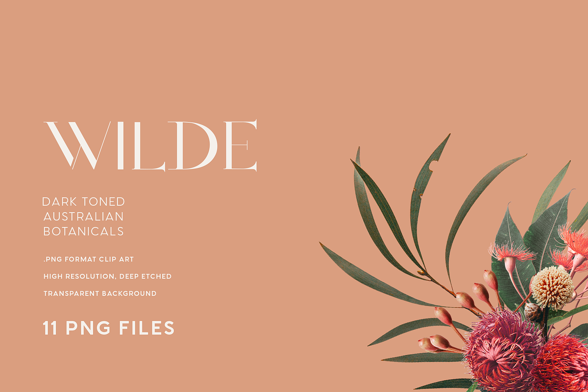 Vintage Wild Flowers Bouquet, an Illustration by La Paloma (Photo 2 of 3)