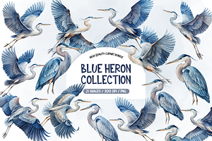 Blue Heron Collection Clipart Bundle, an Animal Illustration by TatiMockup