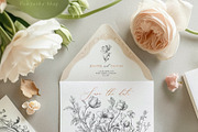 Baroque collection-Toile De Jouy, a Decorative Illustration by Pamyatka Shop (Thumbnail 12 of 14)