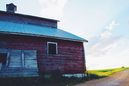 Wood Pile Featuring Vintage Barn And Logs preview 5