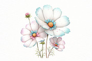 Spring wildflower clipart, an Illustration by Designworld (Thumbnail 7 of 8)