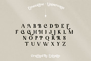 Emeratine - Classy and Modern Serif, a Serif Font by Eztudio (Thumbnail 11 of 15)