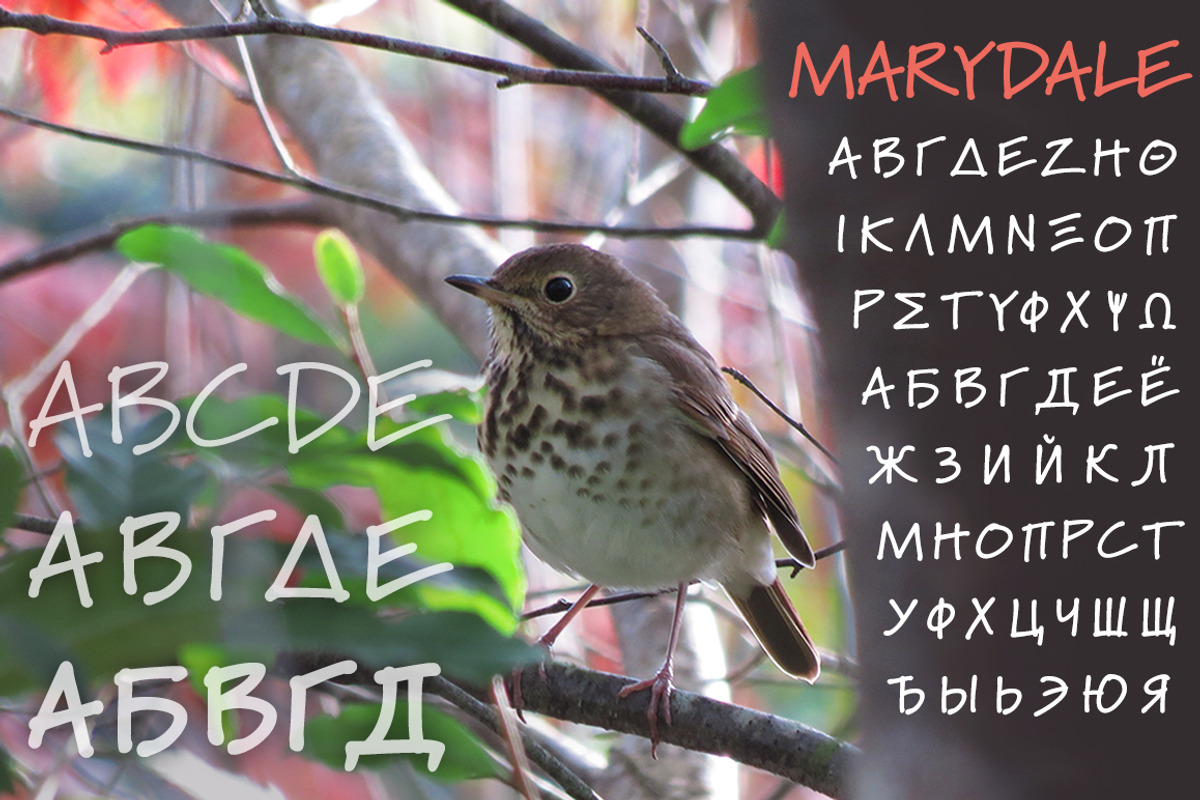 Marydale, a font with personality preview 2