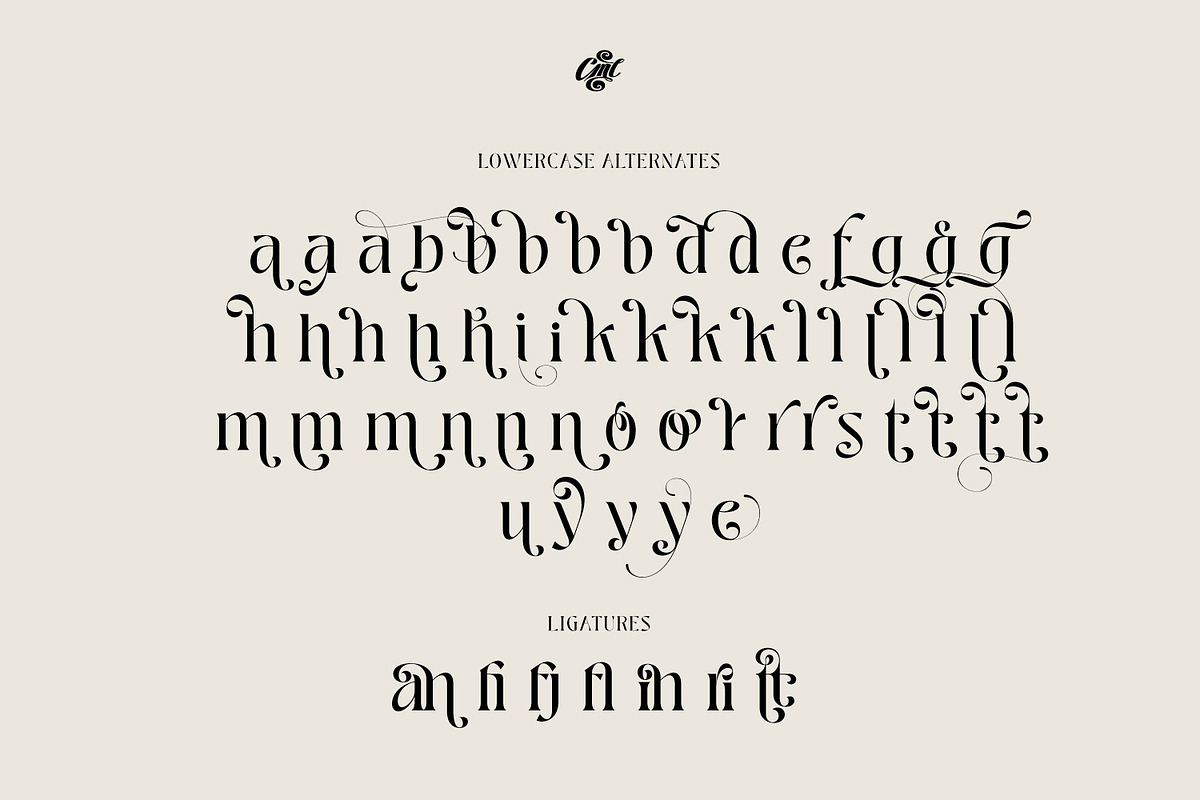 Pretty Boy - Decorative Serif family, a Serif Font by creativemedialab (Photo 15 of 21)
