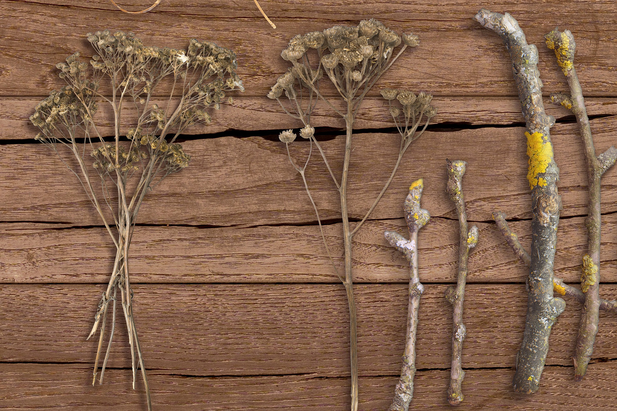 Autumn Floral Mockup, an Object Graphic by uncle-rico (Photo 3 of 12)