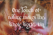 Costa Nova || display Ligature serif, a Serif Font by ToniStudio (Thumbnail 4 of 12)