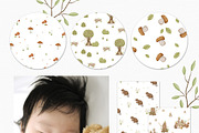 Woodland animals. Alphabet & Pattern, an Animal Illustration by polikarpovaart (Thumbnail 7 of 12)