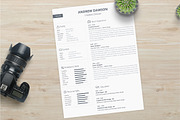 Greyline Resume, a Resume Template by UIMint (Thumbnail 1 of 2)