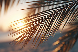 Close up of palm leaves, a Nature Photo by MistyDay