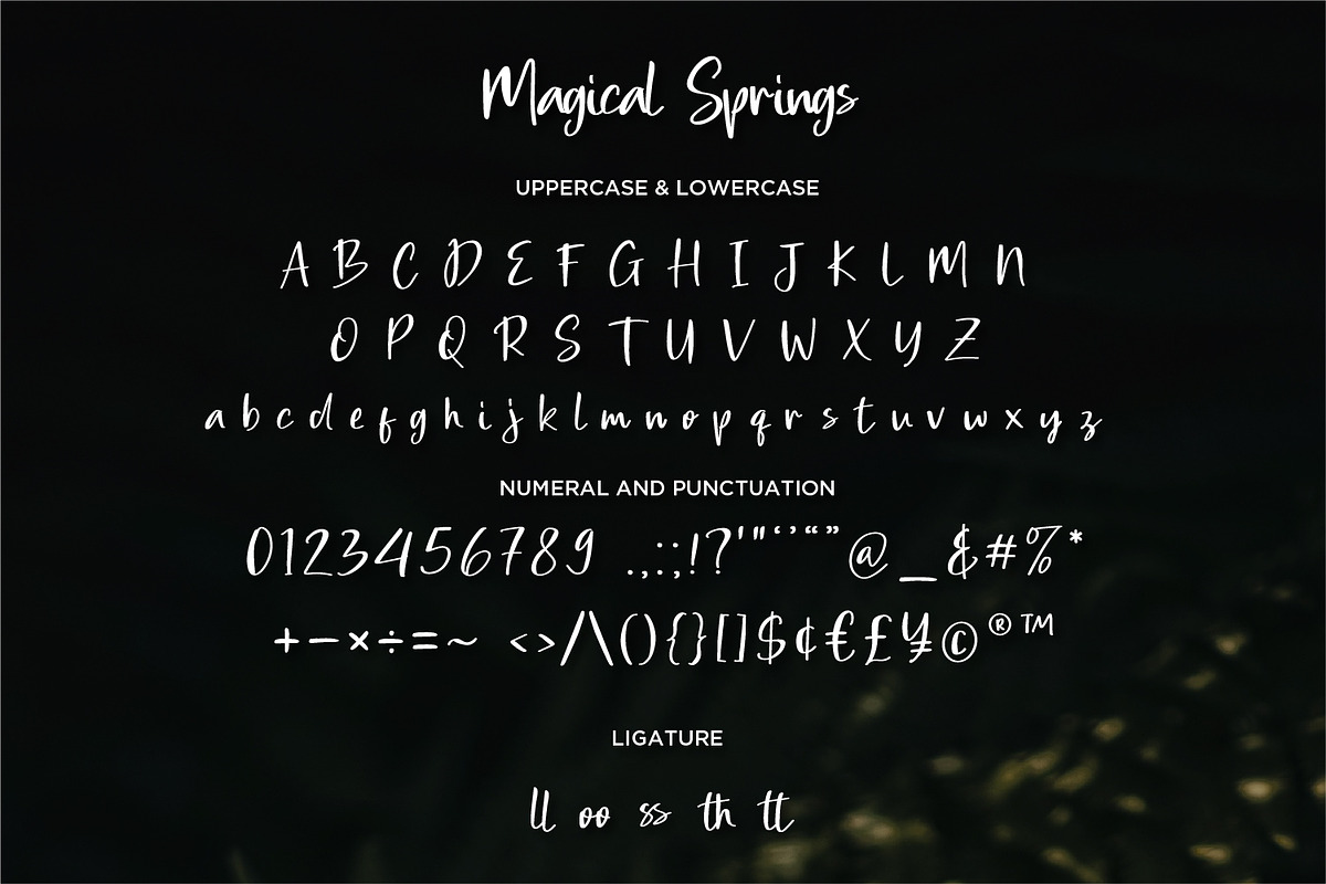Magical Springs - Modern Script font, a Script Font by Nahar_std (Photo 7 of 7)