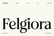 Felgiora, a Serif Font by Propertype (Thumbnail 16 of 16)